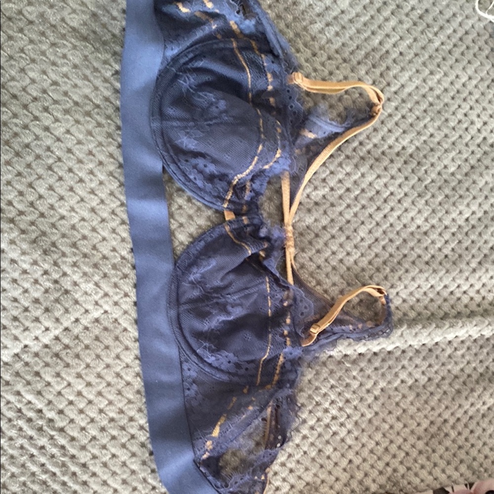 BRAND NEW Free People Lace Bra in Blue and Gold